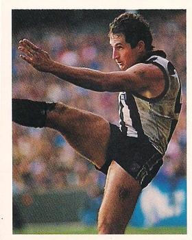 1993 Select AFL Stickers #71 Craig Kelly Front